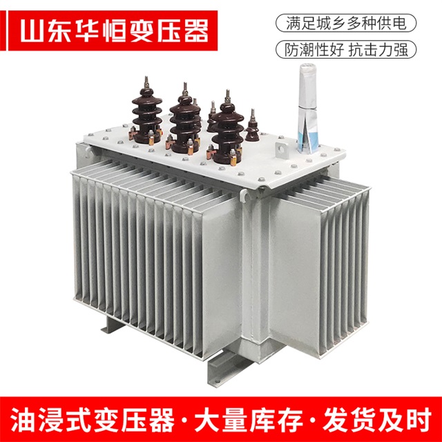 S13-10000/35黎川黎川黎川油浸式变压器厂家